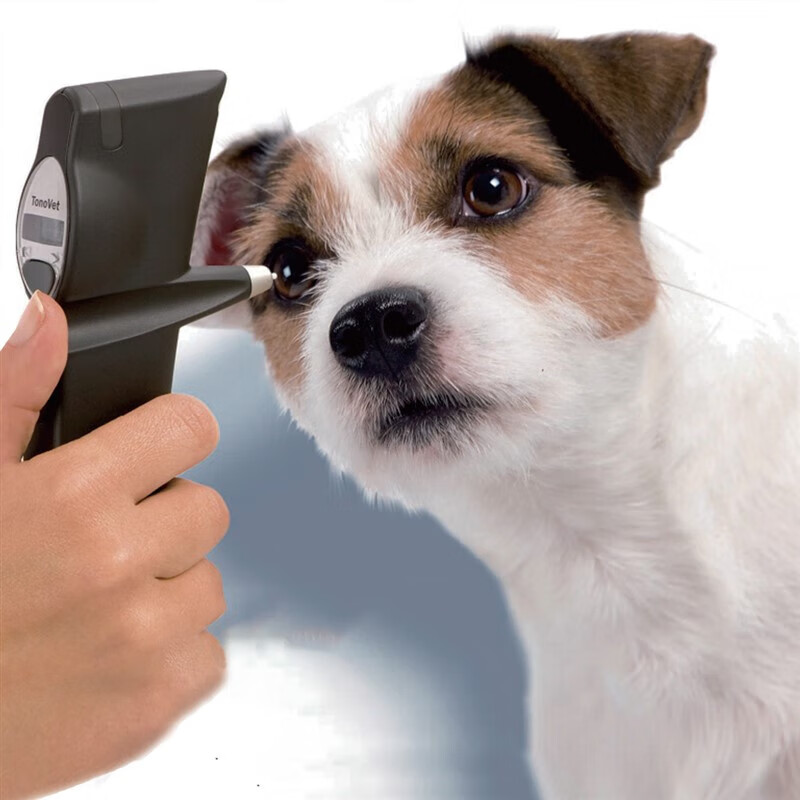 爱凯眼压计宠物专用icare芬兰回弹式眼压仪 老款