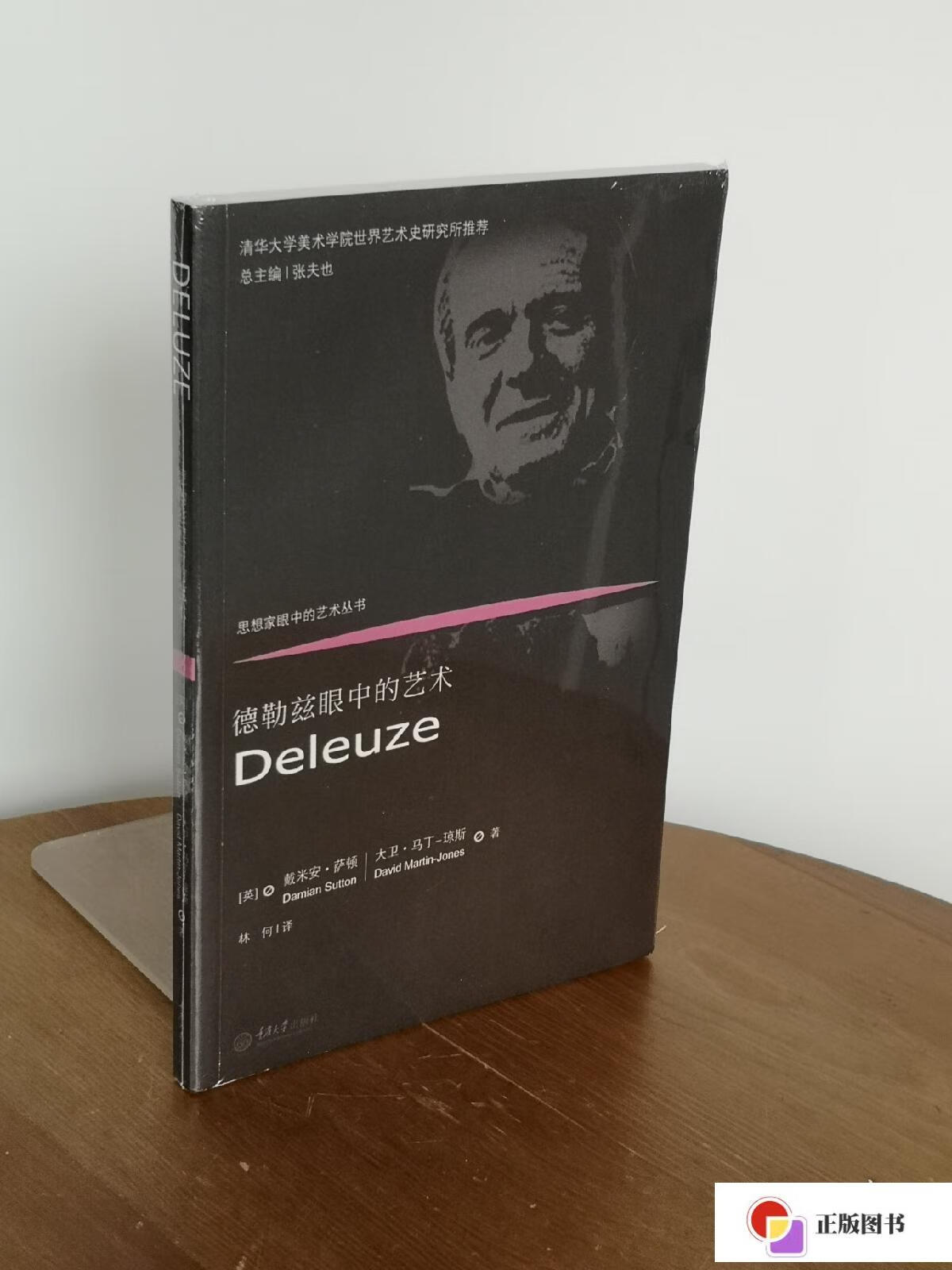 【二手9成新】德勒兹眼中的艺术:思想家眼中的艺术丛书 /戴米安·萨顿