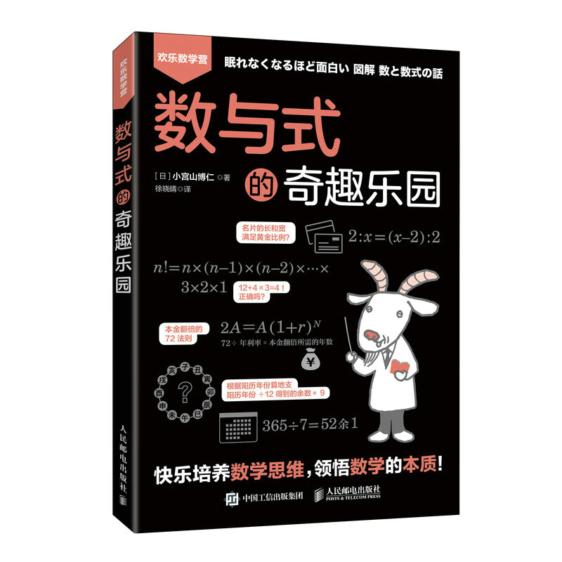数与式的奇趣乐园 欢乐数学营 初中小学高年级五六年级趣味数学书思维逻辑训练 学习数学重难点本质 爱上科