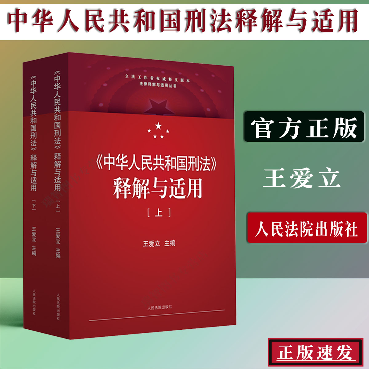 正版现货中华人民共和国刑法 释解与适用 刑法修正案十一 刑法典2版版中华人民共和国刑法司法解释