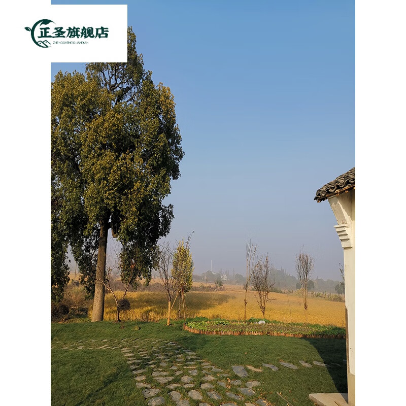 布3d立体高清室内主播直播背景图农村老房子背景墙3d立体 6图片一样1