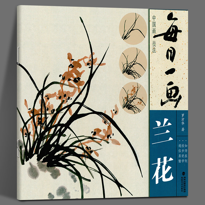 每日一画 兰花 中国画技法国画入门基础教程书兰花写意水墨画花鸟册页