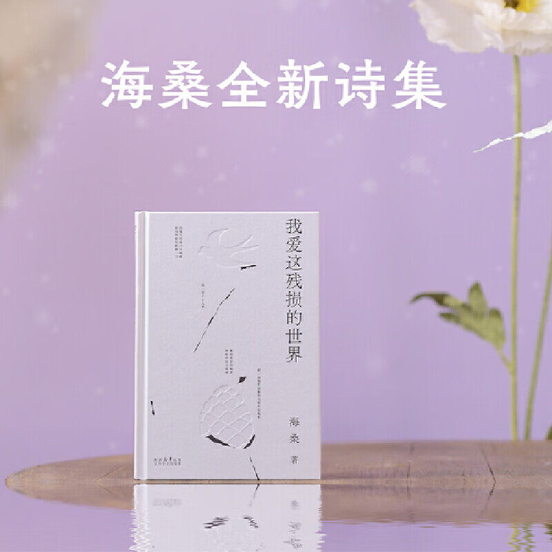 我爱这残损的世界 海桑诗集 中国现当代诗歌集