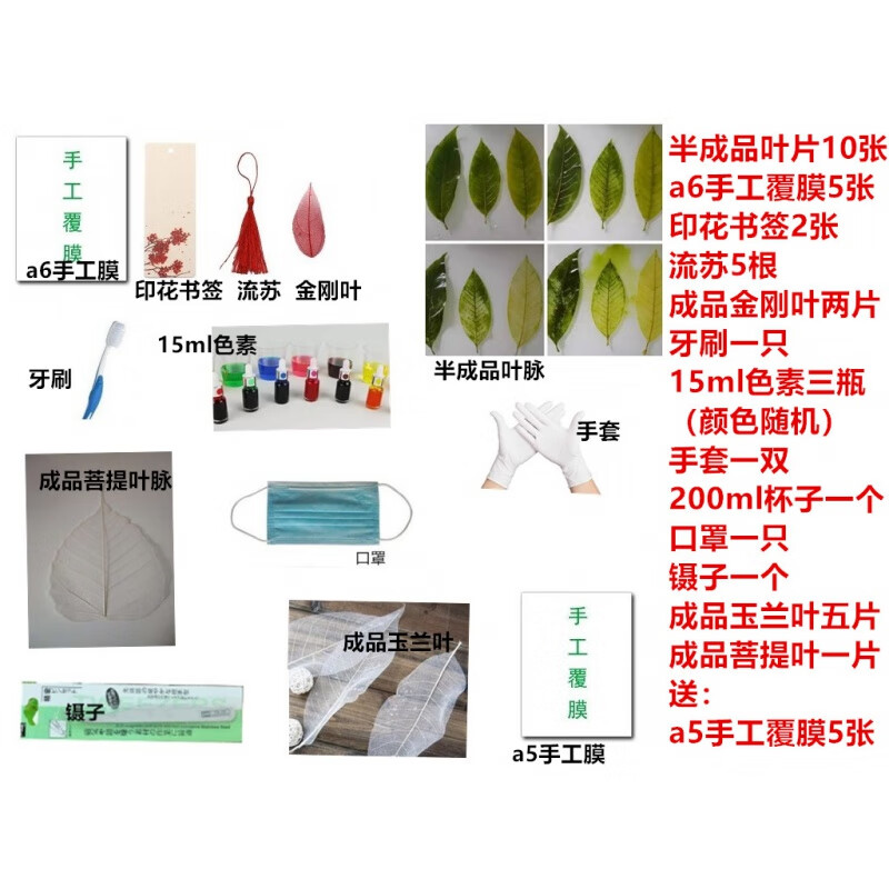旭杉斯学生实验 自制叶脉 节日礼物 树叶书签手工diy材料半成品活动