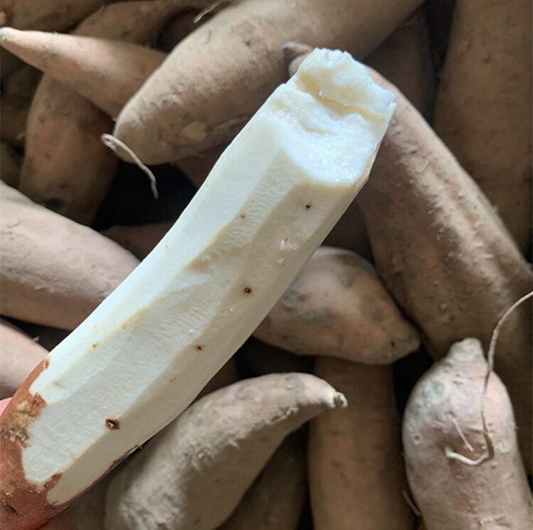 山东哈密冰糖薯新鲜白心蜜薯糖心红薯超甜沙地白薯粉糯白地瓜5斤 3斤