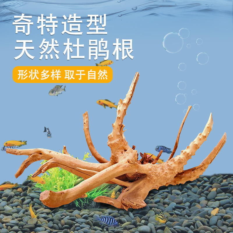 宠小帅 鱼缸造景沉木摆件树根水草缸造景天然生态缸水族箱景杜鹃木装饰 【杜鹃木】精品10-15cm（1个造型随机）