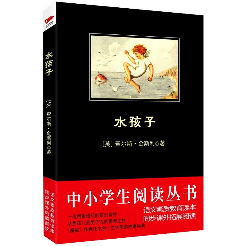 黑皮系列课外阅读：水孩子（金斯利的代表作，一部语言优美、内容充满奇幻的童话故事）三年级阅读