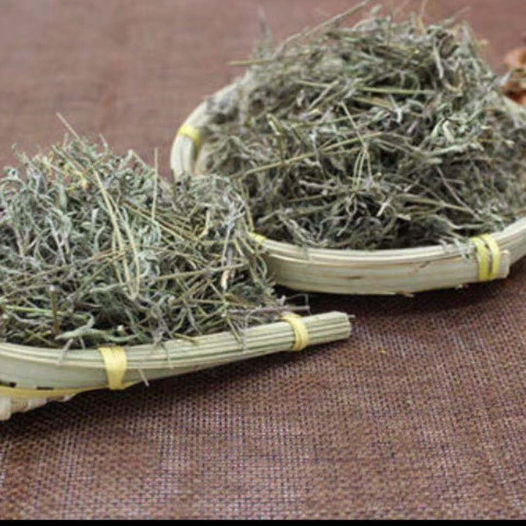 自然生采摘新鲜香龙茶香龙草香浓茶香笼茶散香薷草 40g