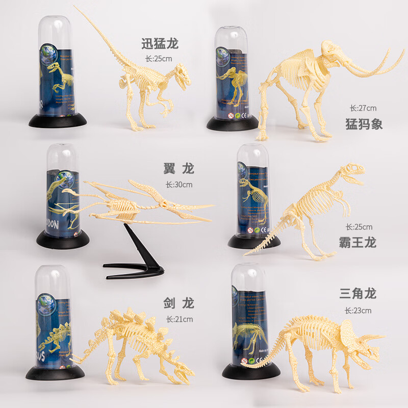 考古恐龍化石頭模型拼裝霸王龍骼仿真恐龍架模型的 全套6款恐龍架套裝