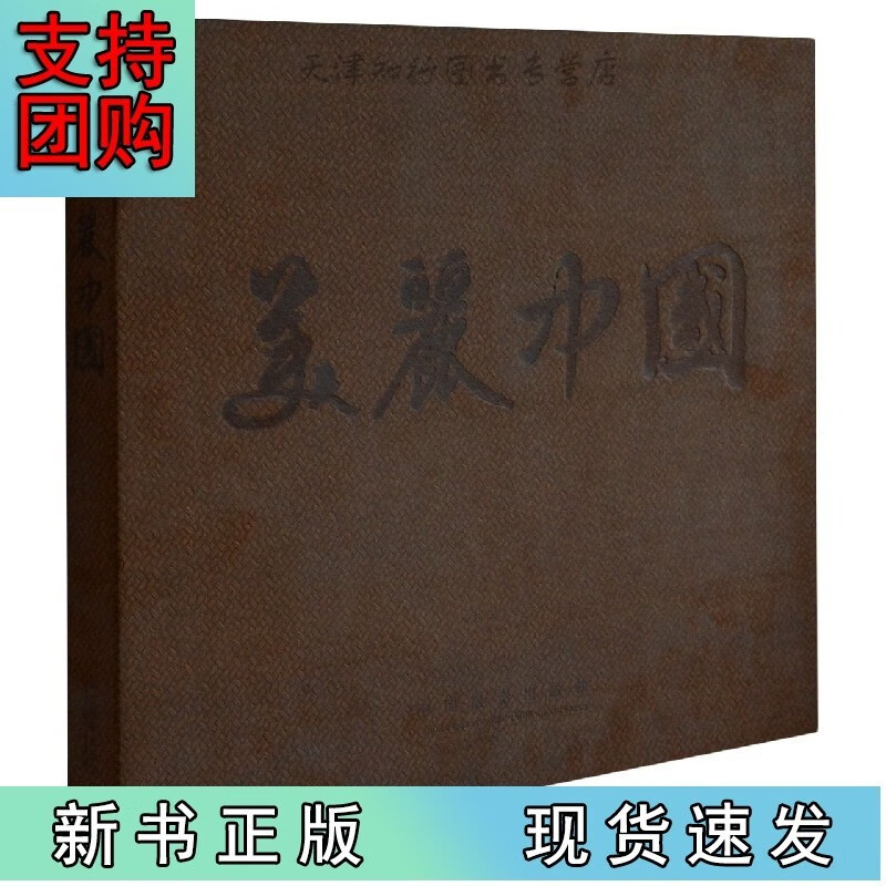 美丽中国Z