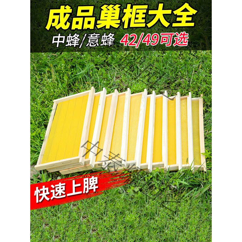 巢础不锈钢丝42蜂箱配件全套养蜂工具意蜂用 百雅达 【中蜂】49规格
