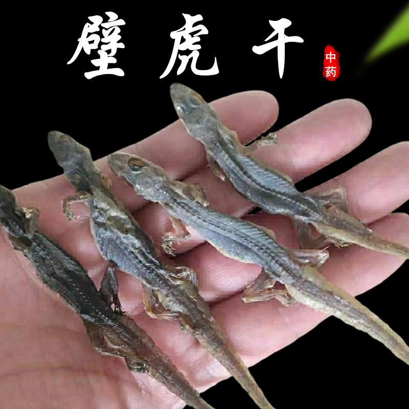 整条不碎壁虎爬壁虎 爬墙虎 蝎虎 天龙 开膛壁虎 天龙粉 50克