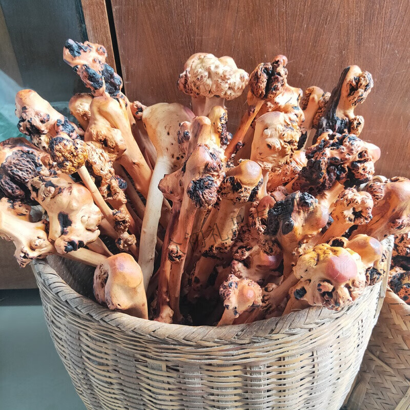 淘瓷八云南黑果木棒树瘤把玩疙瘩木手把件木棍山茶木 卖家款随机发货