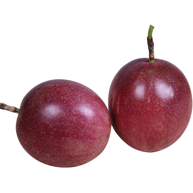 ̽ζ�� ��������� ���� ����ˮ����ѡƷ�ʰ���� ����40g+��10��װ�� 9.9Ԫ