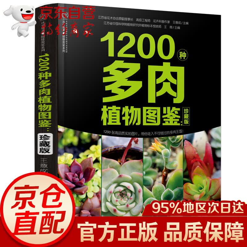 无货 1200种多肉植物图鉴：珍藏版（汉竹）