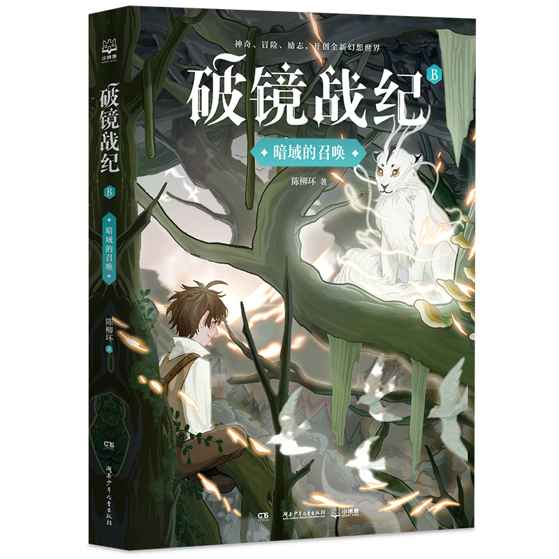 暗域的召唤/破镜战纪