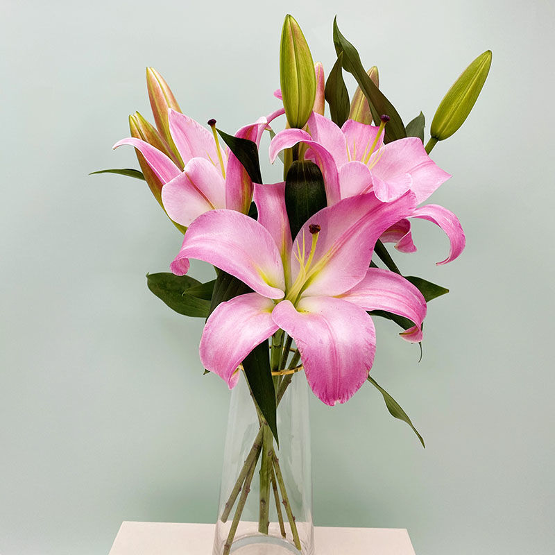 昆明基地直发香水百合花鲜花花束玫瑰花送人家用水养鲜花花束批发 粉