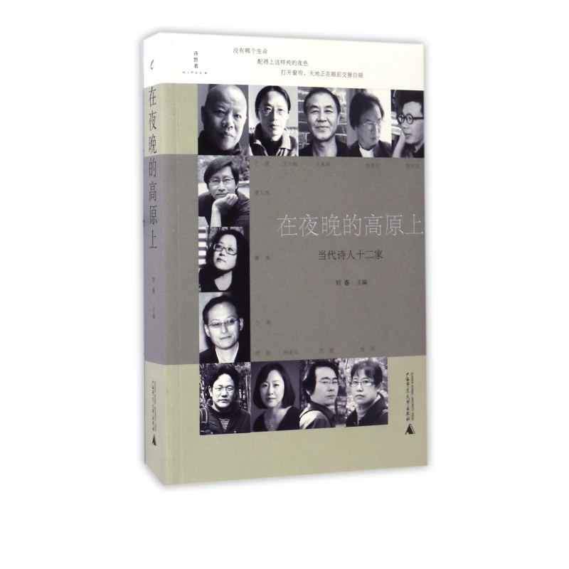 在夜晚的高原上(当代诗人十二家)