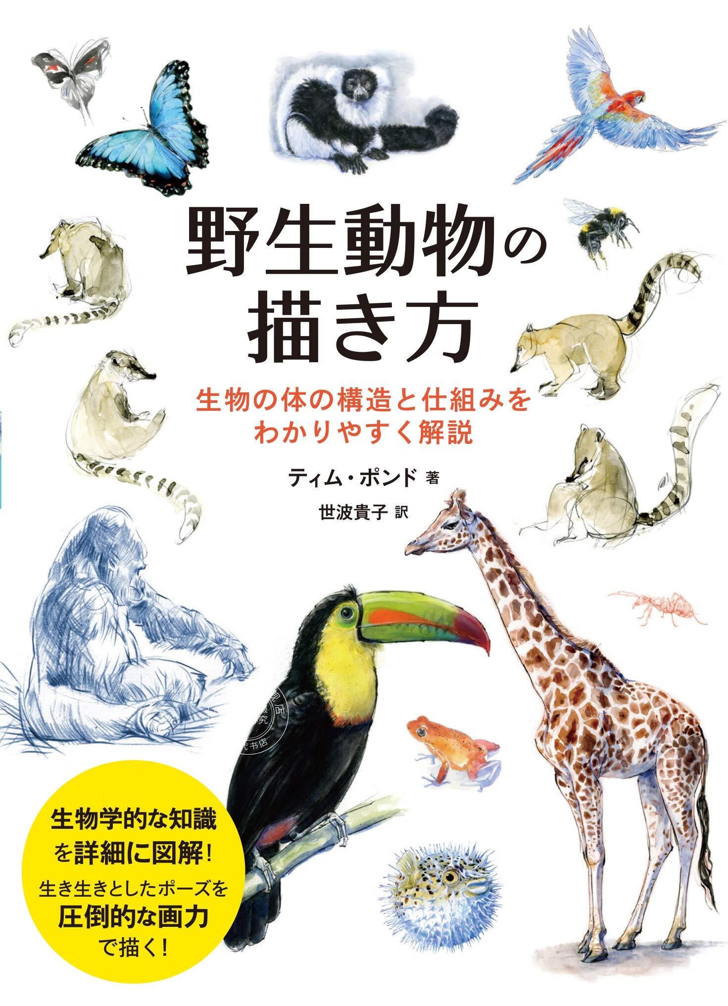 现货 进口日文 野生动物的画法 野生動物の描き方 生物の体の構造と仕組み