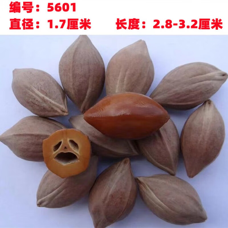 珠佩丽橄榄核原核橄榄核原料超红润老油核单籽精品核雕四花原籽大核形