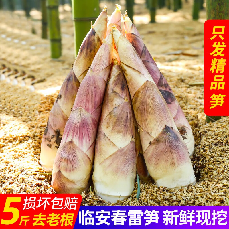 根茎类京东史低|根茎类价格比较