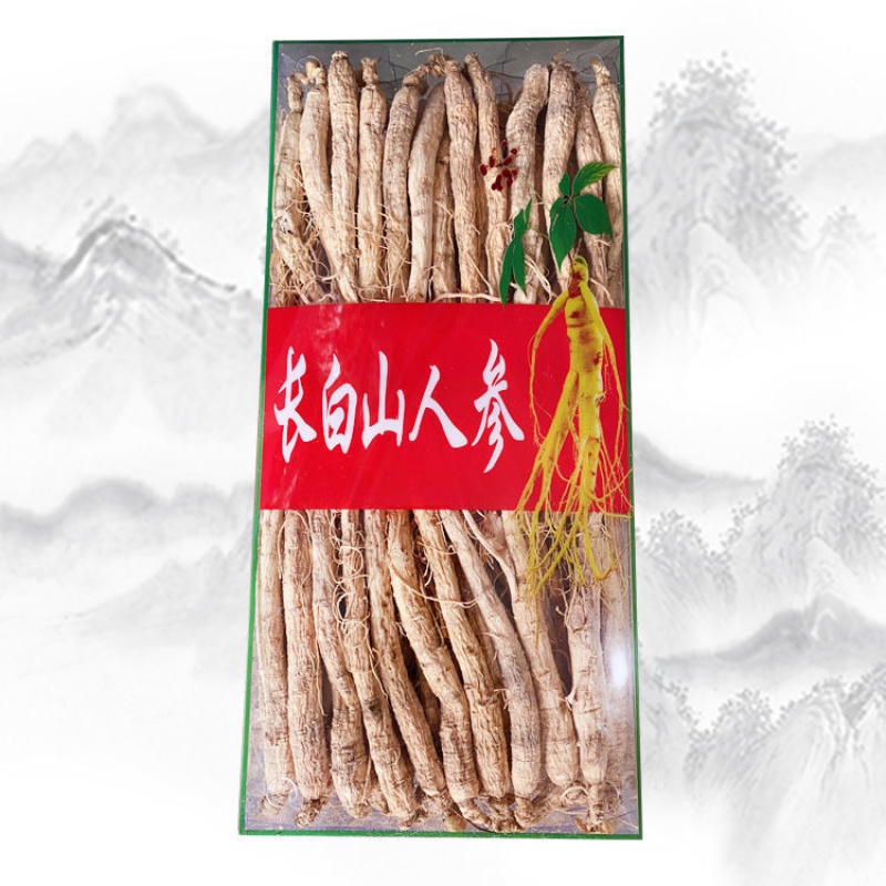 中国東北】高麗人参 山参 長白山 天然人参 天然物 極品神草 長白人参