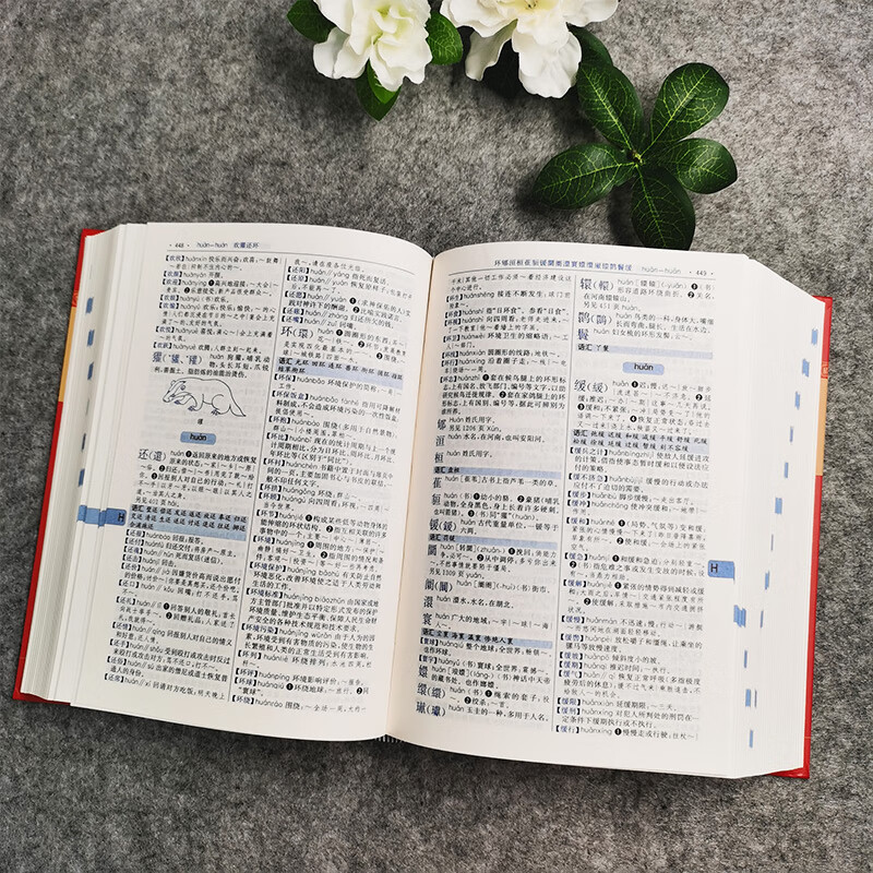 现代汉语词典（双色插图本）“渠道专享”