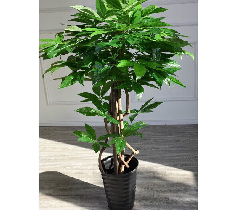 abdt仿真绿植盆栽 室内客厅假树发财树盆景真树杆人造仿真植物落地家