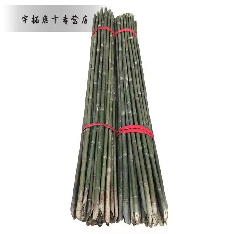 竹竿菜园搭架黄瓜豆角西红柿辣椒搭架蔬菜爬藤架子 1厘米粗1米长50根