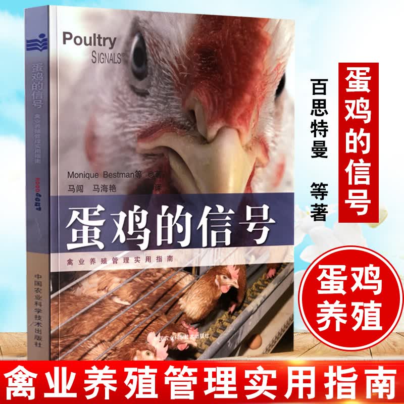 正版书籍 蛋鸡的信号 高效养鸡 鸡病防治零基础养鸡技术 蛋鸡养殖 提高蛋鸡产量 蛋鸡饲养管理 蛋鸡的信号书籍