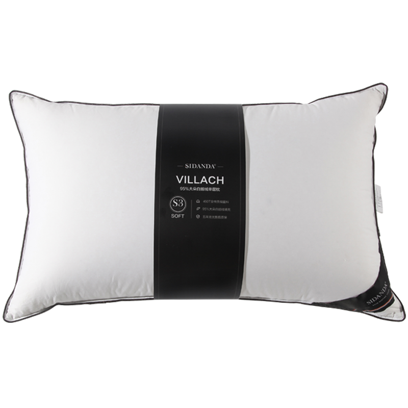 SIDANDA������95�׶��������Ǽ��Ƶ�������ͷ ȫ������о��ܽ�� ��ֻ 95%ȫ�׶����� ���� 2025������ȫ������ܽ�� 1979.14Ԫ(������)