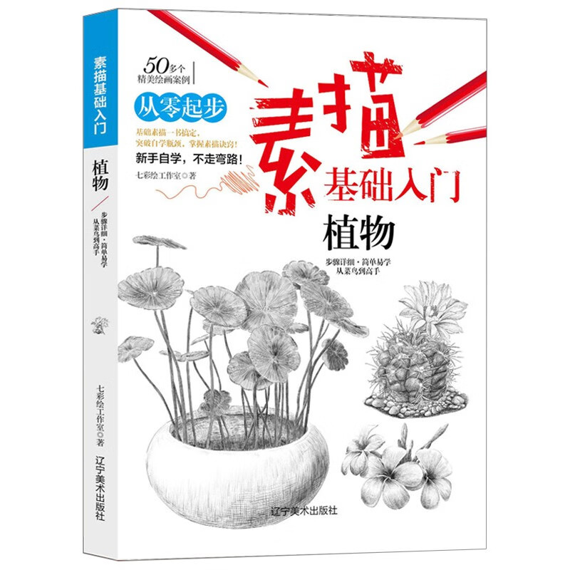 素描基础入门(植物)铅笔画初学者美术书零