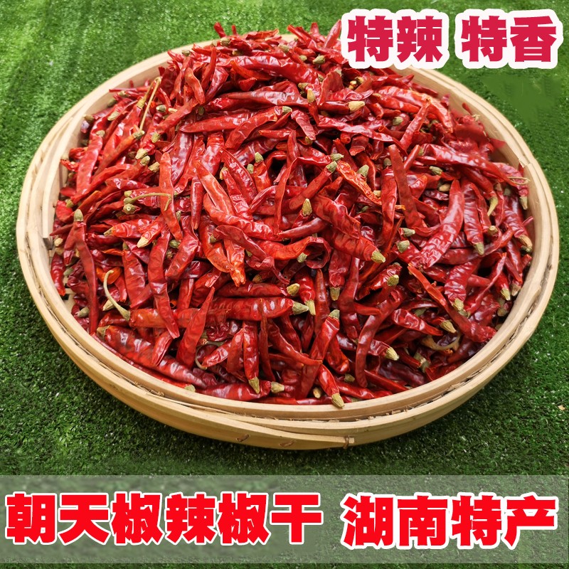 橙伯乐 特辣超香辣七星椒朝天椒椒海椒湖南辣椒特产干红辣椒500g 椒