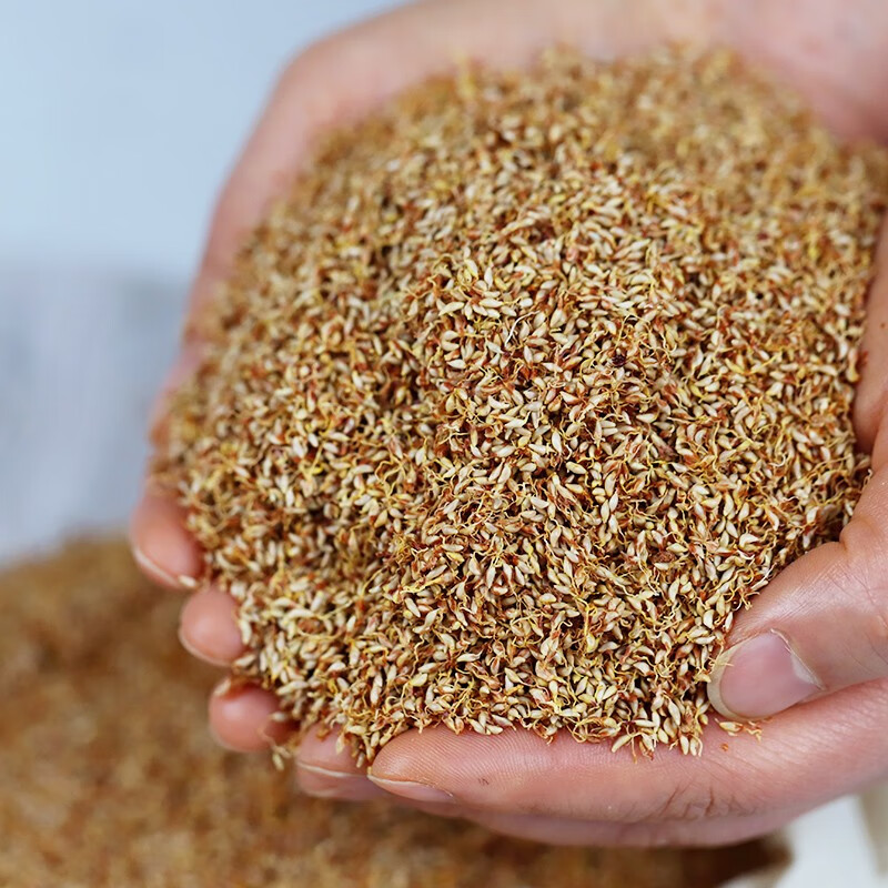 配料凉粉籽石花籽小路人家手工网红气泡冰粉 薜荔籽250g【无需石灰】