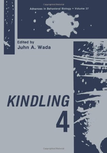 预订 kindling 4