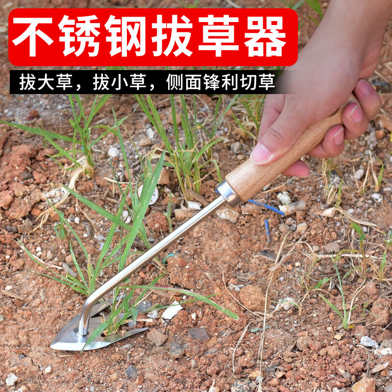 器锄草神器户外起草起根器花园取草去根小工具手动工具 榉木柄除草器