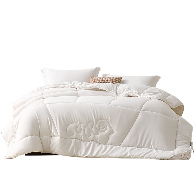 ˮ�Ǽҷ� 100%���޴���ë���� �����Ӻ�о 200x230cm Լ6.6�� 256Ԫ(����ȯ)