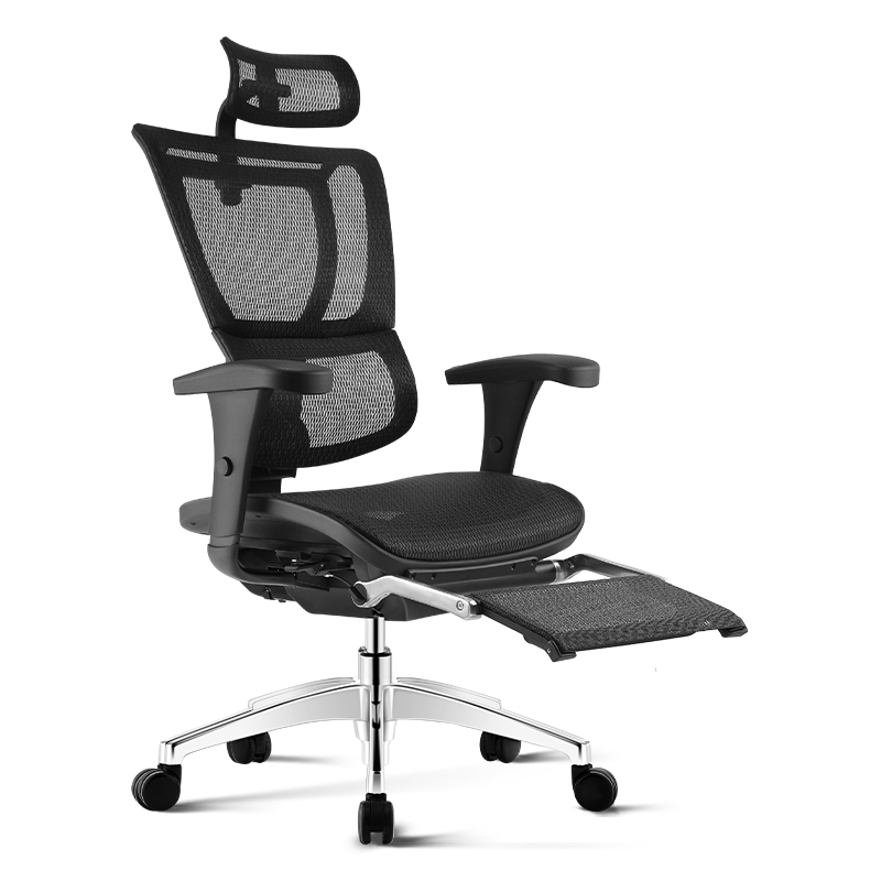 Ergonor保友优b电脑椅人体工学椅家用电竞椅办公椅子靠背椅老板椅 黑色(美国网)+躺舒宝 升级款