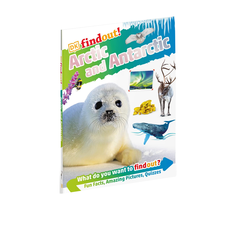 英文原版 dkfindout!