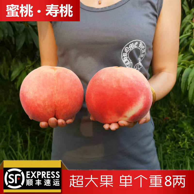 玫栀 大桃子礼盒特大水蜜桃中华寿桃深州中秋送礼新鲜 2500g 桃王 单果重1.2斤 (5个礼盒装)产量稀少 送礼