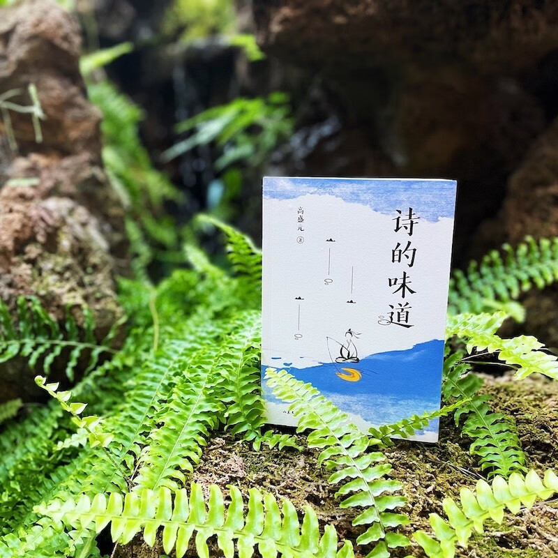 《诗的味道》B站“宝藏语文老师”高盛元,精讲唐宋十大诗人代表作(“那些小时候囫囵背下的诗句,在生命的这一刻击中了我”,从李白到苏轼,带你重新品味唐宋诗词之美)怎么看?
