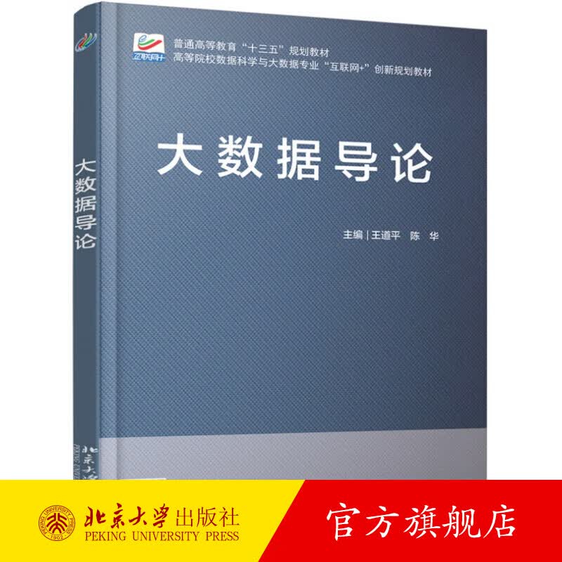 大数据导论 北京大学旗舰店正版