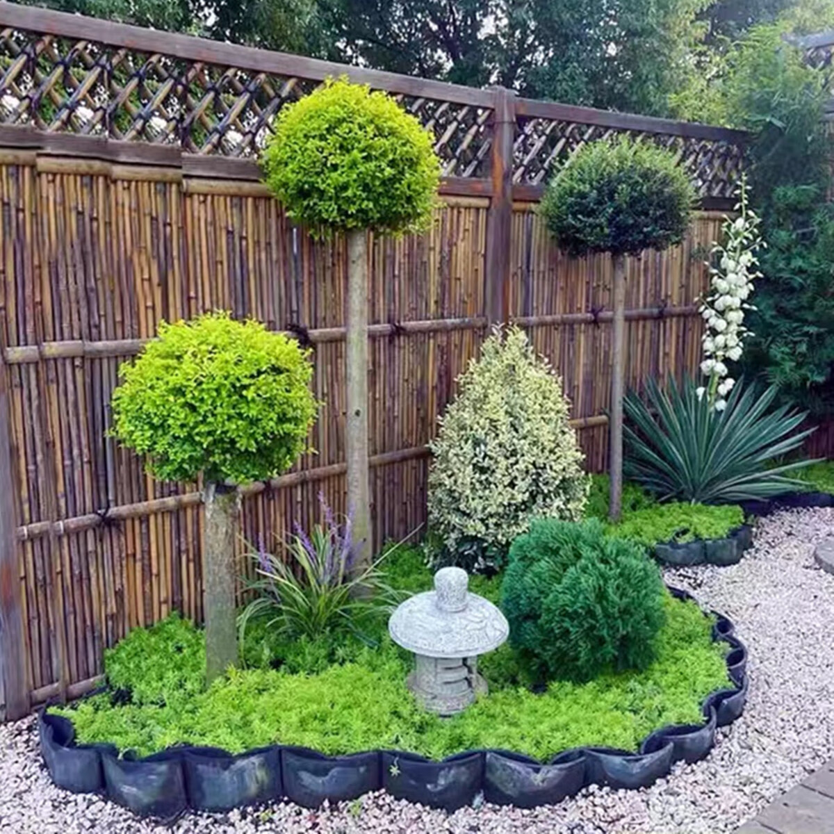 晶女贞阳台别墅设计花园造景川滇蜡树四季常青耐寒花卉 精品棒棒糖