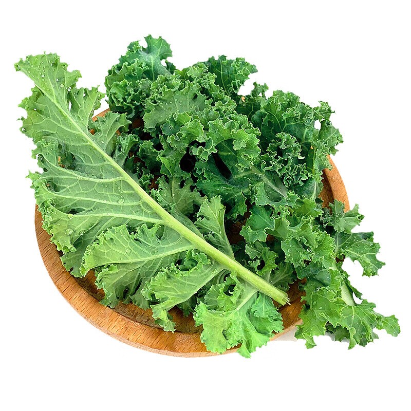 泽鲜达羽衣甘蓝新鲜蔬菜嫩叶甘兰kale健身榨汁西餐食材叶 500g