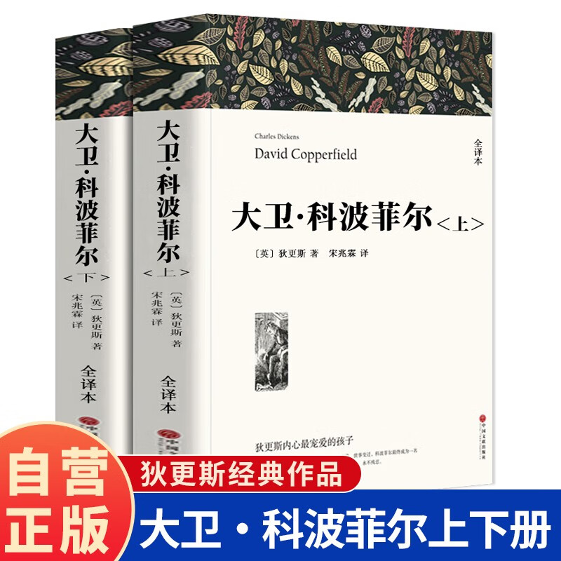 【全2册】大卫·科波菲尔 上下册 大卫科波菲尔狄更斯著全译本高中生阅读课外书世界名著经典文学作品