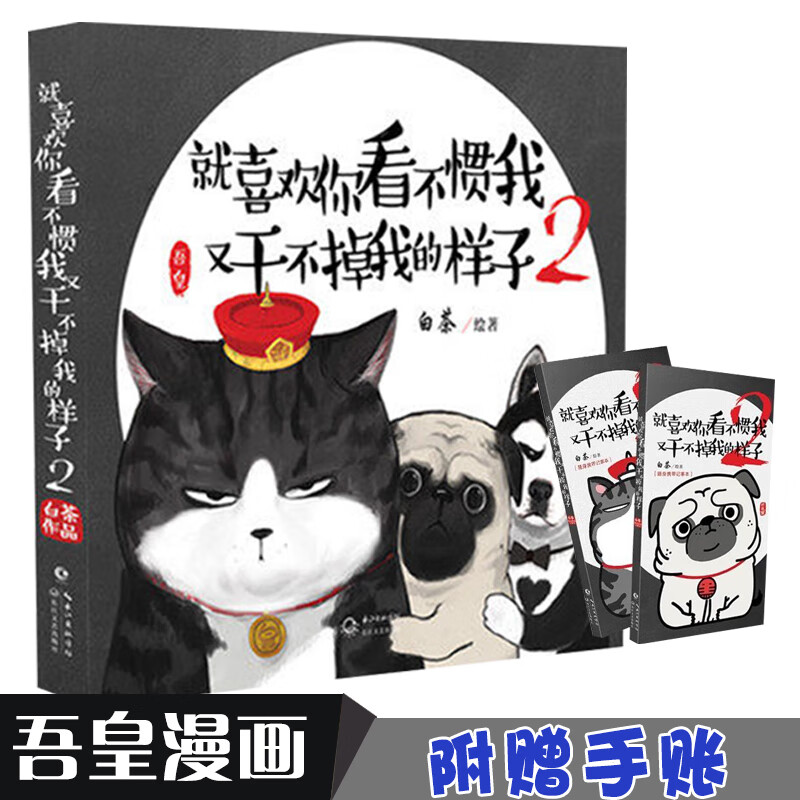 【随书附赠手账】正版现货就喜欢你看不惯我又干不掉我的样子2/白茶