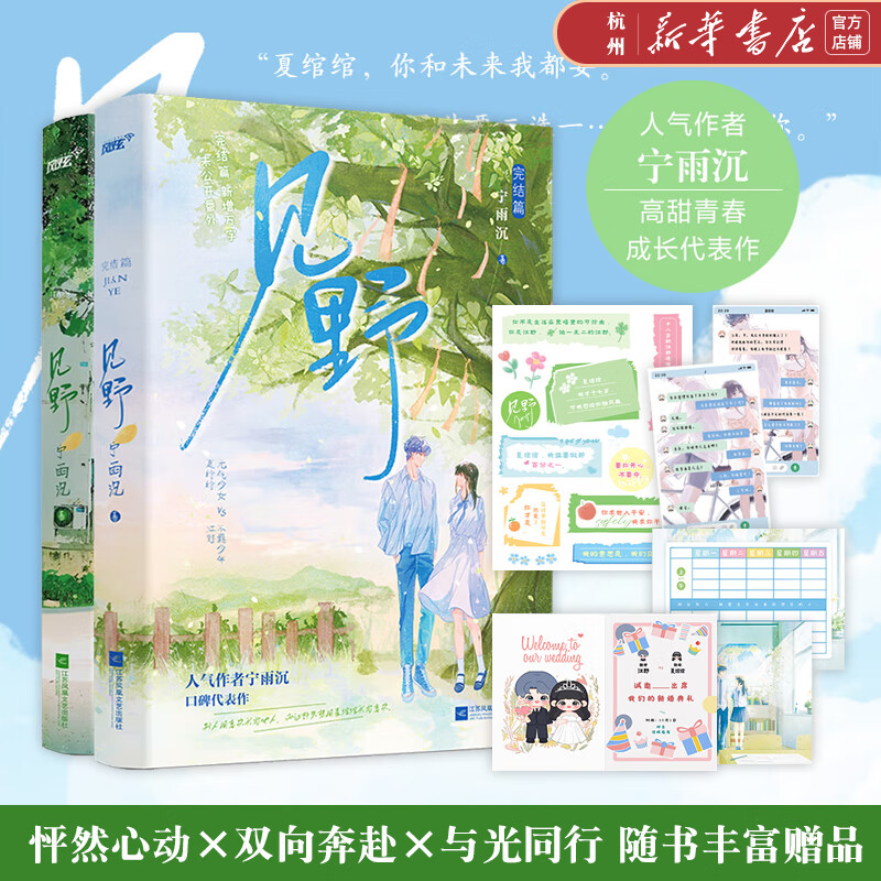 见野1+2完结篇 全套共2册 宁雨沉口碑代表作 元气少女夏绾绾vs不羁少年江野 青春文学双向奔赴高甜小说 新增万字未公开番外