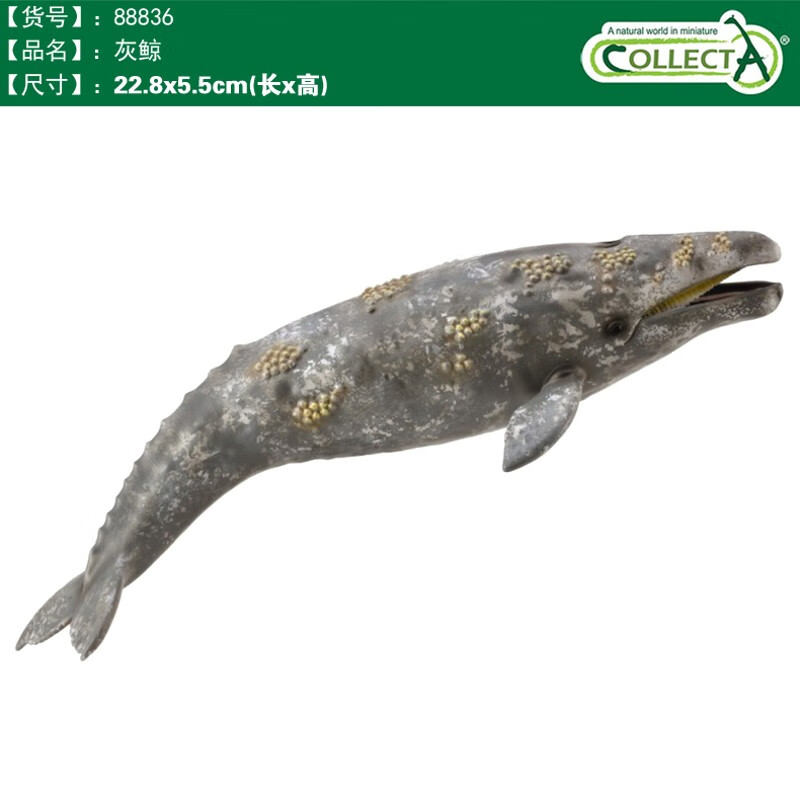 我你他仿真海洋动物模型玩具鲨鱼鲸鱼南北极认知合集 88836灰鲸