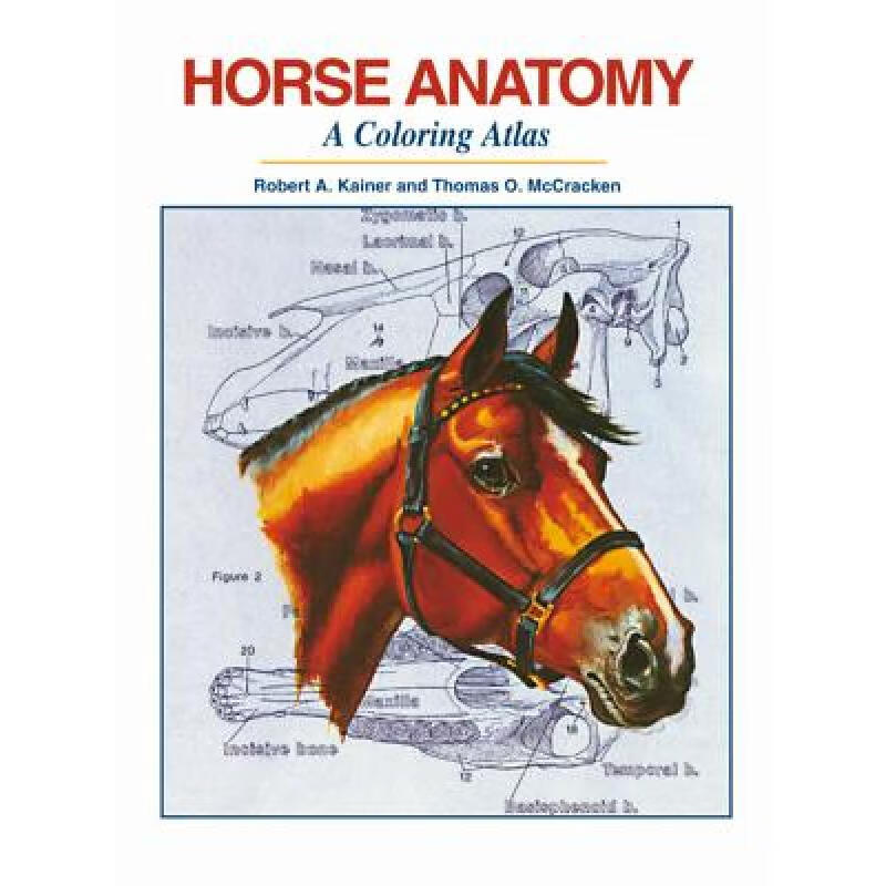 预订 Horse Anatomy: A Coloring Atlas