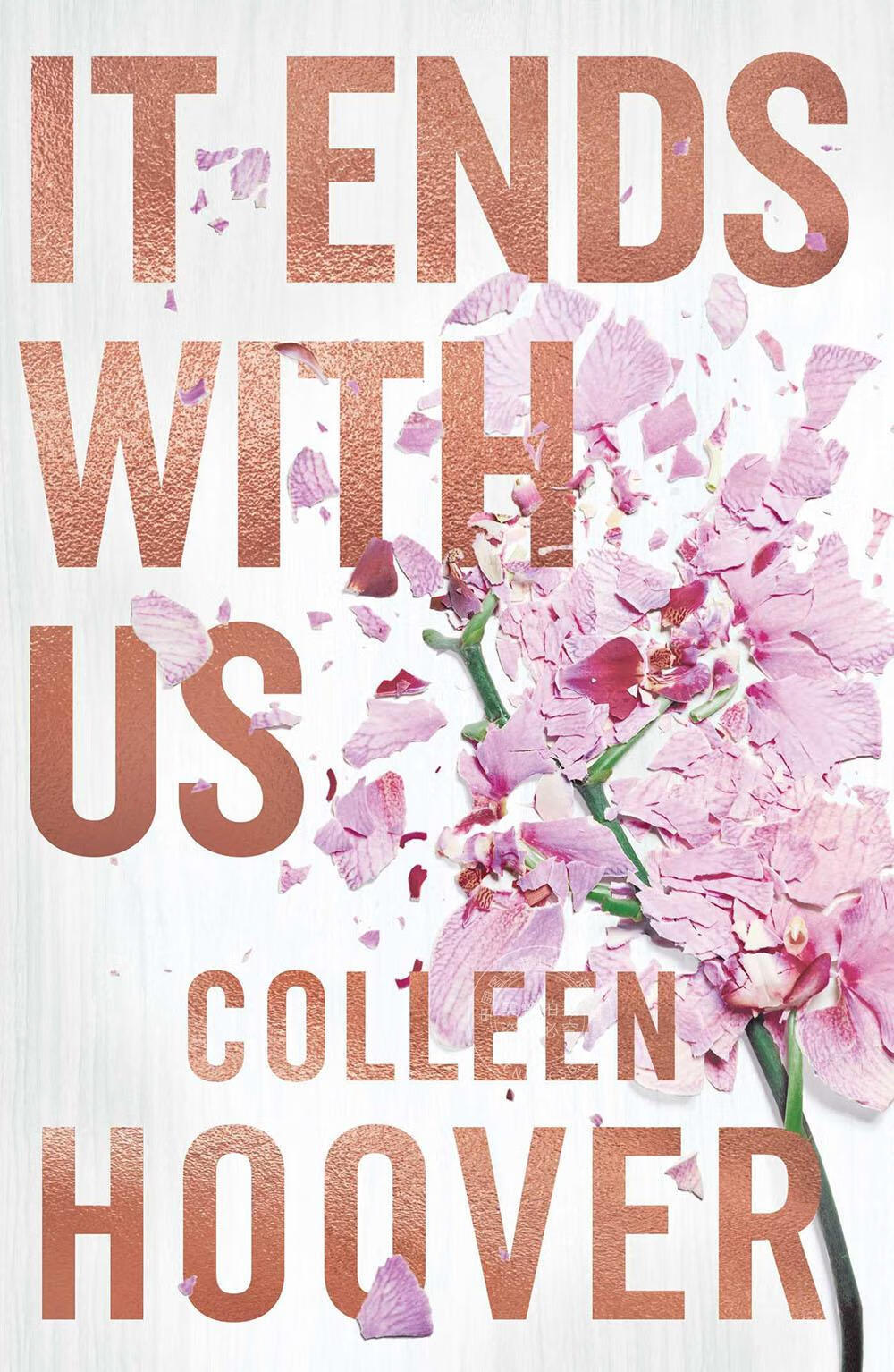 现货  莉莉丝的选择 colleen hoover 英文原版 it ends with us